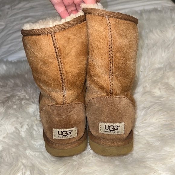 UGG | Classic Short Chestnut Suede Sheepskin Fur Lined Boots 5285 - Picture 5 of 14